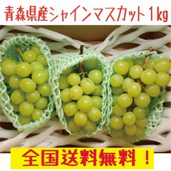 青森県産　シャインマスカット　訳あり　2 -3 房　１ｋｇ　送料無料！