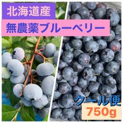 北海道産　農薬不使用　ブルーベリー　750g