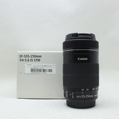 Canon EF-S 55-250mm F4-5.6 IS STM