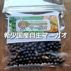希少 長崎県産乾燥マーガオ ホール8g(約230粒程)