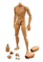 特価商品 [Tbmodel] 1/6 フィギュア 男性 素体 素体セット 2種類ヘッドコネクタ