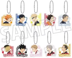 【中古】キーホルダー 全10種セット 「ハイキュー!! アクリルキーホルダーコレクション」