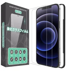 2枚入り iPhone 12 Pro Max 6.7インチ用 ♯R2.14