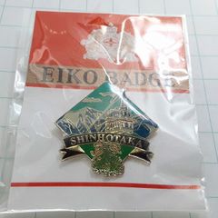 未使用 富士山 新幹線 観光 旅行 登山 記念 山バッジ ピンバッジ