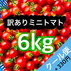 本年度終了山形県産採れたて訳ありミニトマト6kg