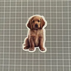 【B083】防水ステッカー 犬 dog ゴールデンレトリバー 大型犬 子犬 仔犬