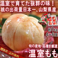桃 温室 約1kg 4～6玉 山梨県産 贈答品 JA全農やまなし 化粧箱入り 味わい抜群のプレミアムギフト！美しい果実にジューシーな果肉と上品な風味のモモ