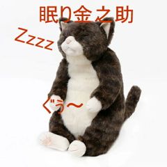 キョーリン 大型 ぬいぐるみ ネオケラトドゥス 抱きぐるみ - メルカリ