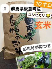 令和4年産 群馬県産コシヒカリ（玄米）10kg