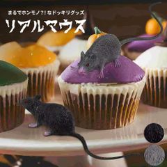 Item thumbnail for item faf282d5-5ea6-451b-9fef-0cae7d2d1d5e