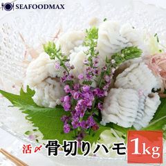 活け〆 骨切り 鱧 (はも) 1kg 骨切り処理済み 手軽に美味しいハモ料理が楽しめます・骨切りハモ・