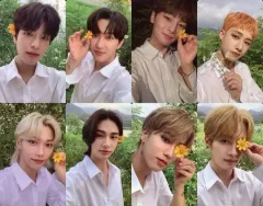 【中古】キャラカード Stray Kids フォトカード(8枚セット) 「CD NOEASY 限定盤」 封入特典