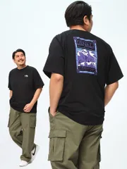 THE NORTH FACE ザ ノースフェイス 半袖 Tシャツ ハーフドーム マウンテン ロゴ ラグラン プリント クルーネック 大きいサイズ メンズ NF0A87NU ブラック