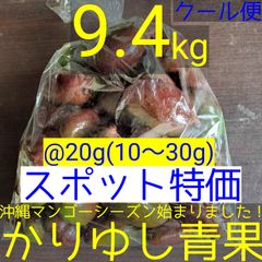 〈スポット特価〉沖縄県産 摘果マンゴー/青マンゴー@20g(10〜30g)約9.4kg【クール便】①