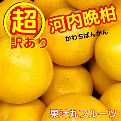 超！訳あり河内晩柑　10.5キロ　不揃い不選別　　フルーツ美生柑柑橘果物ゴールド※北海道、沖縄のお客様発送不可になります