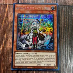 英語版　白き森のアステーリャ　白き森のリゼット　シークレット1st 各3枚セット 白き森のアステーリャ【シークレット】{INFO-JP013}《モンスター》