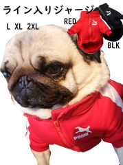 新品 犬服  暖かい ラインジャージ POMII ポミー 裏起毛