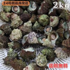 冷凍ヤドカリ40個 冷凍マツバ貝100個 冷凍イソガニ40匹 石鯛 黒鯛 釣り餌 - メルカリ