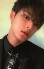 SEVENTEEN An Ode MINGYU トレーディングカード 白