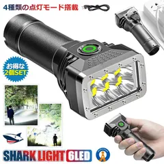 2個セット LEDライト 充電式 小型 ハンディライト 懐中電灯 高輝度 USB 4つ 点灯モード 夜釣り 登山 アウトドア ウォーキング 散歩 ランニング SHARKLIGHT 定形外