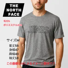 THE NORTH FACE ロゴTシャツ JHMRS グレー Mサイズ