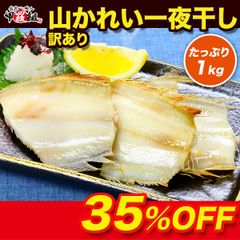 【訳あり】見切り品　日本海の山かれい一夜干し　1kg　食べ放題！ かれい カレイ 鰈 干物 【甲羅組】