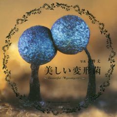 ☆「日本変形菌類図鑑」萩原博光 他解説 ☆「粘菌の生物学」前田みね子