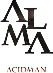 2025年最新】ACIDMAN レコードの人気アイテム - メルカリ