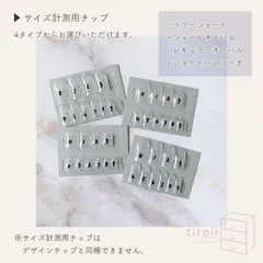 サイズ計測用チップ