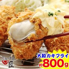 685:【広島県産牡蠣使用】大粒冷凍カキフライ800g（40g×20粒）のサムネイル