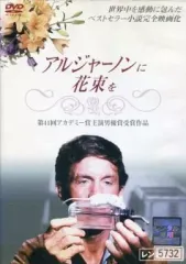 ミュージカル アルジャーノンに花束を 再演CD 未開封品 2026年最新】アルジャーノンに花束を cdの人気アイテム - メルカリ