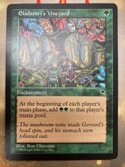 MTG エラダムリーのぶどう園　英語
