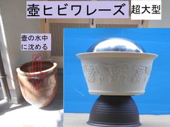 壺ヒビワレーズ　超大型
