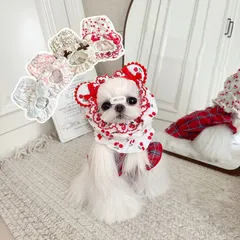 即納 ペット服 フードカバー イヤーマフ ペットウェア ドッグウェア 犬服 おしゃれ かわいい 安い