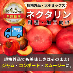 ネクタリン ～料理・加工向け～【内容量】約4.5kg【配送方法】クール配送【サイズ】ミックス【品目】ネクタリン【品種】当店お任せ【産地】長野県【規格】規格外品【詰め方】バラ詰め【配送までの日数】1～4日