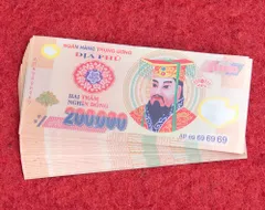 257 ベトナム紙幣　ベトナムドン　2枚 ベトナムドン紙幣 ベトナムドン 30万ドン 美品｜Yahoo!フリマ