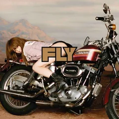 【新品未使用】YUKI『FLY』完全生産限定LPレコード盤 YUKI FLY 誰でもロンリー 完全生産限定盤 LPジャケット限定版