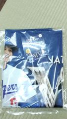 北海道日本ハムファイターズ 大谷翔平 ダイジェスト ビゲストタオル