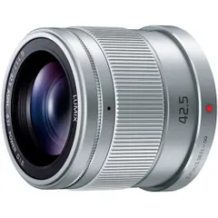 2024年最新】Panasonic G 42.5mm F1.7の人気アイテム - メルカリ