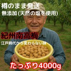 価格高騰！農家直送！紀州南高梅 樽 4kg 無添加 和歌山 紀州 白梅