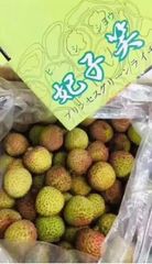 全国一律料金‼️クール便発送‼️中国海南省産　生ライチ　グリーンライチ　妃子笑　荔枝 2kg