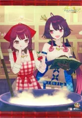 【中古】タペストリー [単品] ソフィー＆ラミゼル 描き下ろしB2タペストリー 「PS4/switchソフト ソフィーのアトリエ2 ～不思議な夢の錬金術士～ ファミ通DXパック 3Dクリスタルセット」 同梱特典