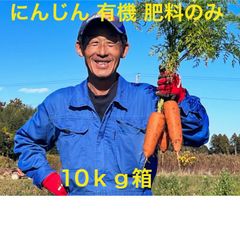 にんじん 有機 肥料の畑 人参 訳あり ニンジン訳あり ジュース用 10kg 規格外品 10キロ箱
