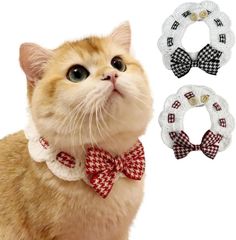 Item thumbnail for item b7155843-46cd-4b47-b0ac-e9fdbba9773b