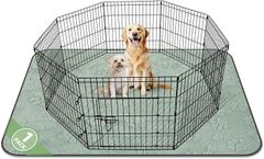 Item thumbnail for item e281c532-1c0c-4025-a917-f5775c52d6be