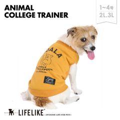 〖ララちゃんさん専用 〗犬服 犬用 手編み 秋冬 「アルパカ」「リス」 ララちゃんさん専用 〗犬服 犬用 手編み 秋冬 「アルパカ」「リス」