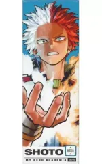 ヒロアカ 轟焦凍 絵札缶バッジ 50点 ヒロアカ 轟焦凍 絵札缶バッジ 50点 僕のヒーローアカデミア 絵札