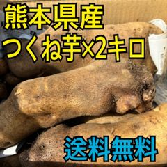 熊本県産　つくね芋　2キロ　希少品