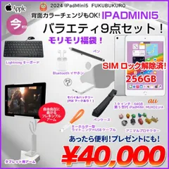 【iPadMini5 便利に使える付属品付もりもり9点福袋 】Apple iPad mini5 MUXD2J/A A2124 SIMロック解除済 256GB カラー iPad OS17 シルバー]:アウトレット