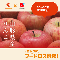 山形県産「訳ありりんご」約10kg（30〜56玉）【※入荷次第、順次発送いたします。】